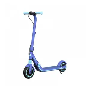 Ремонт электросамоката Ninebot Electric Scooter E8 в Красноярске